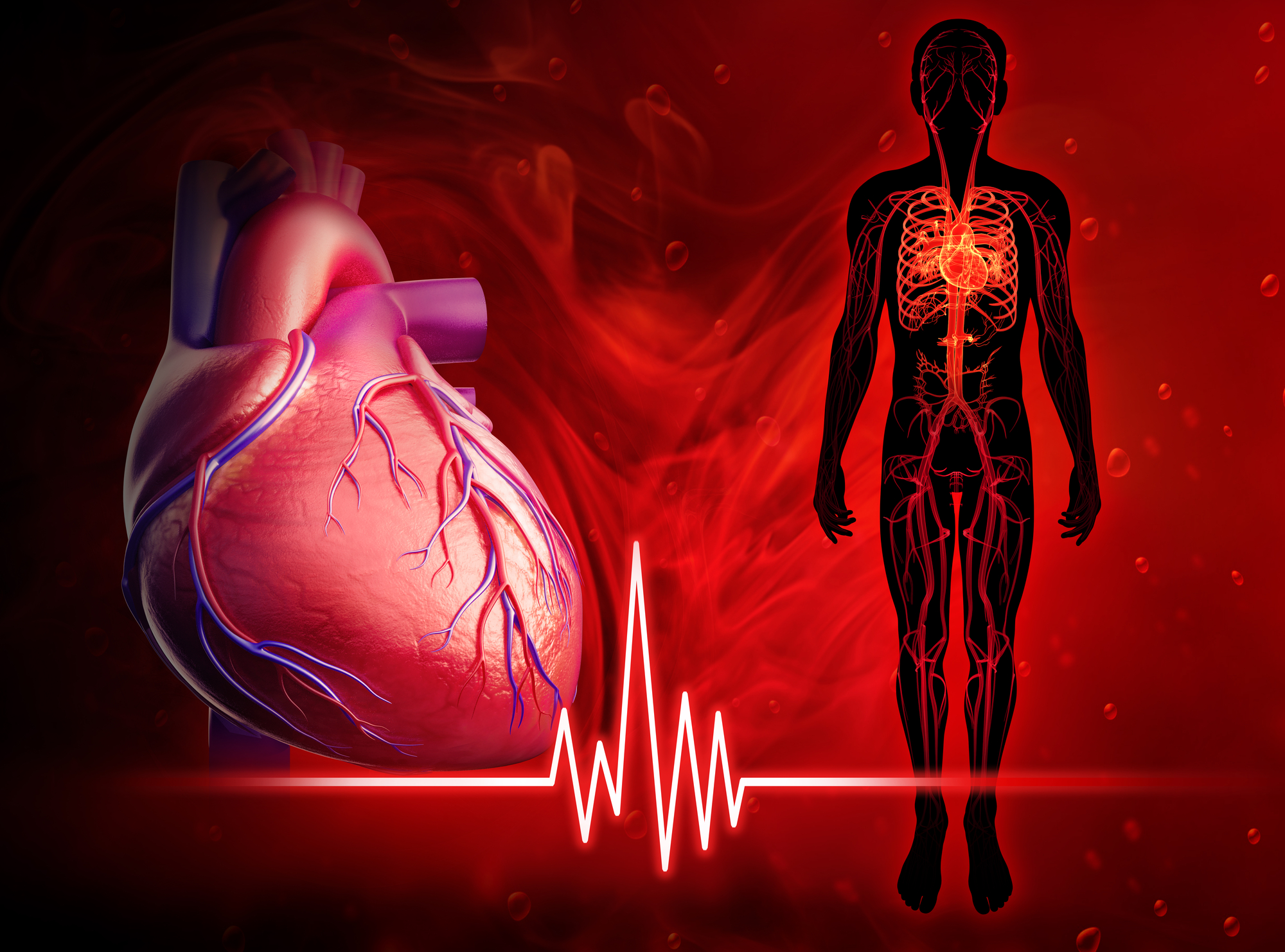Heart check-up, heart check-up tests, heart checkup package, Vivid Imaging and Diagnostics.